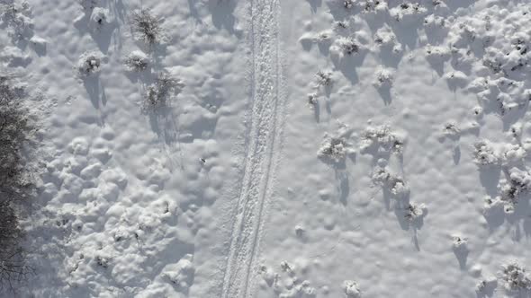 Snowed vegetation by winter 4K drone footage