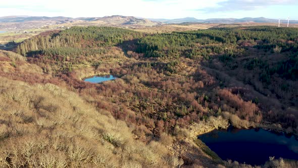 The Reforestation Continues at Bonny Glen in County Donegal  Ireland