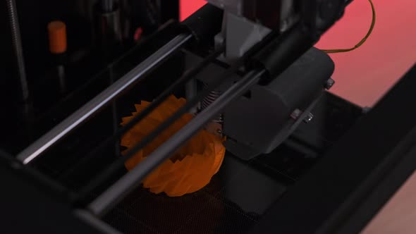 3D Printer in Action