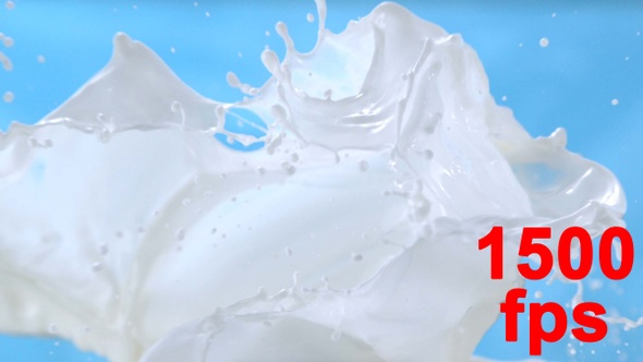 Milk Waves Splashing Milk