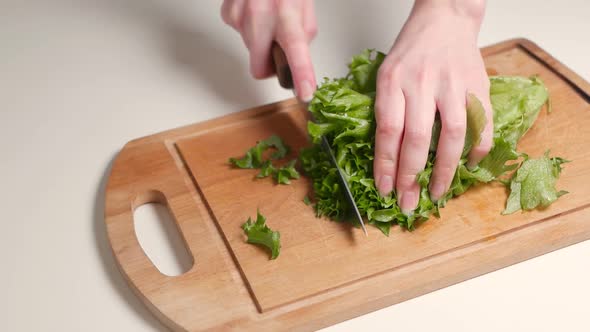 Hand of Woman Cuts Fresh Lettuce Leaf Using the Kitchen Knife