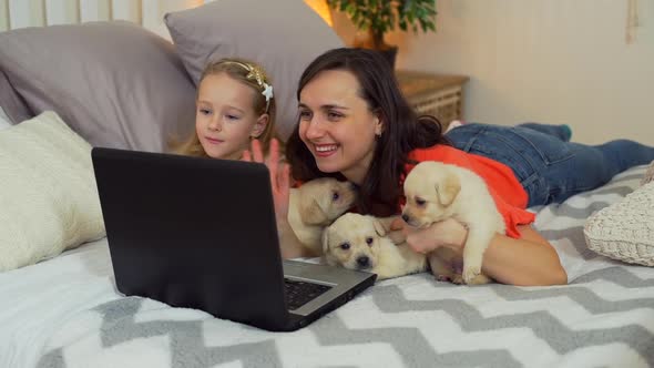 Video Call with Cute Puppies on a Bed