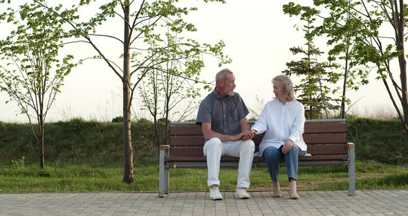 An Elderly Couple Has a Lively Conversation on a Bench