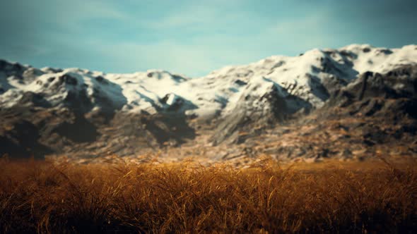 Dry Grass and Snow Covered Mountains in Alaska