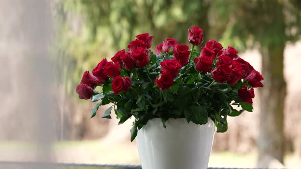 Red Roses 54