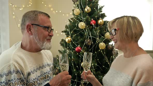 Elderly Married Couple with Champagne Celebrating Christmas Near Tree, Merry Christmas, Happy New