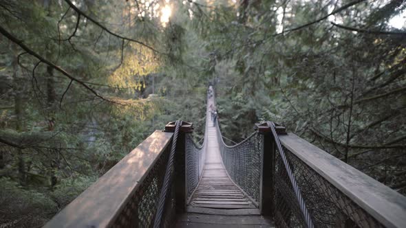 Metal ropes of suspension bridge in Lynn Valley