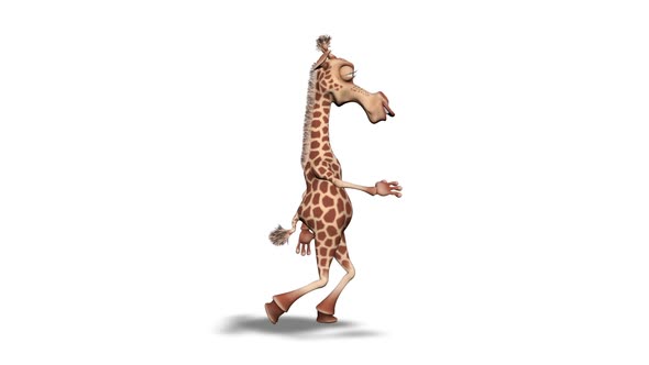 Cartoon 3D Giraffe Walk  2 Loops on White