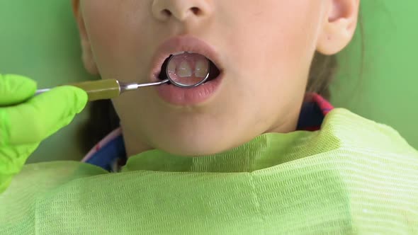 Pediatric Dental Care Specialist Examining Teeth of Little Patient, Medicine