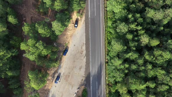 Asphalt Road Through Pine Forest