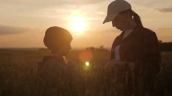 Young Mother Farmer Teaches Her Daughter To Work in a Wheat Field