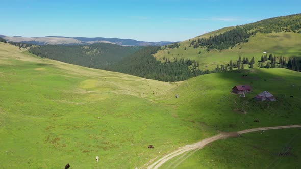 Aerial View of Alpine Landscape in the Rodnei Mountains, Carpathians, Romania