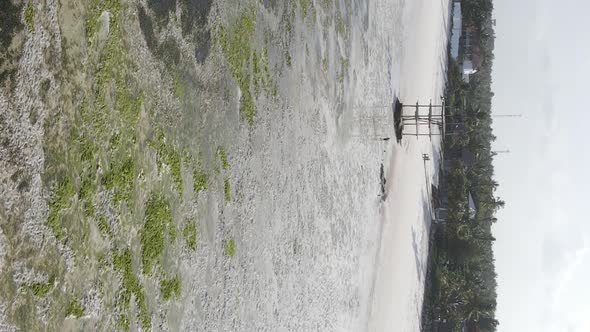 Zanzibar Tanzania  Vertical Video of Low Tide in the Ocean Near the Coast Slow Motion