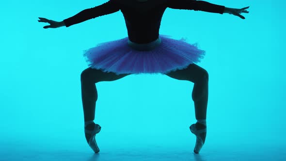 Unrecognizable Ballerina in Tutu Dress and Pointe Shoes Making Squat Standing on Tiptoes