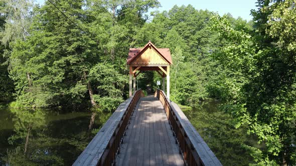 Flying Over the River and in the Wooden Bridge in the Pine Forest