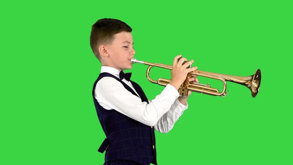 Concentrated Little Boy in a Bow Tie Blowing the Trumpet on a Green Screen Chroma Key