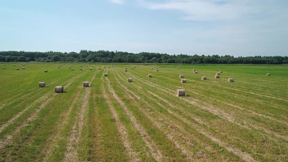 Aerial View of Hay Bales on the Green Field