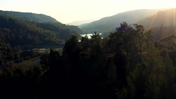 Lake Forest Mountains Field Water Green Summer View Sunset