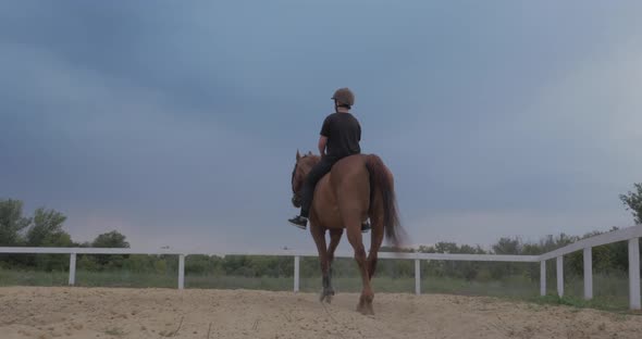 Rider Rides His Horse at Sunset . Woman Rider Learns To Ride a Horse in the Evening on a Blue Sky