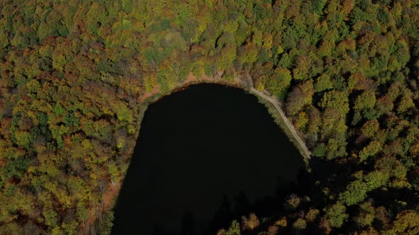 Aerial Drone Zoom in of Autumn Forest Trees Near Gosh Lake in Armenia