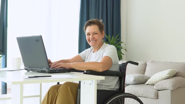 Motivated Senior Freelancer is Working Typing in Laptop Sitting in Wheelchair at Home