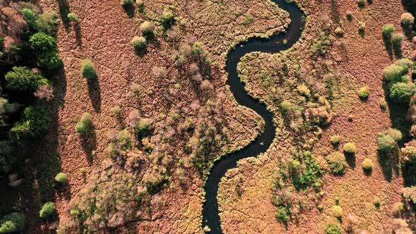 Top view of winding river and brown swamps at sunset