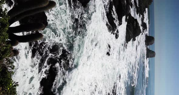 Vertical video of the waves at punta de lobos, pichilemu with birds and autochthonous flora on a sun