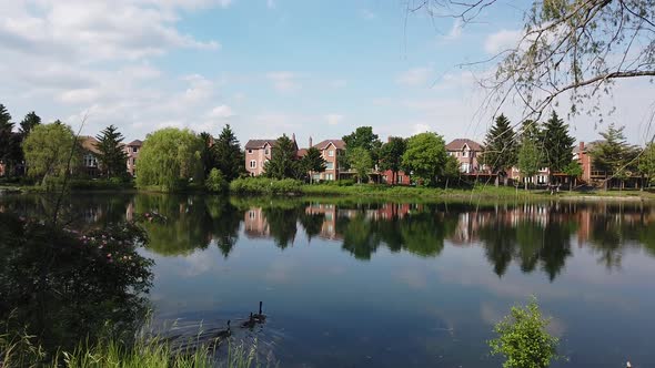 A panning shot of a beautiful lake in the Spring, as geese swim nearby.