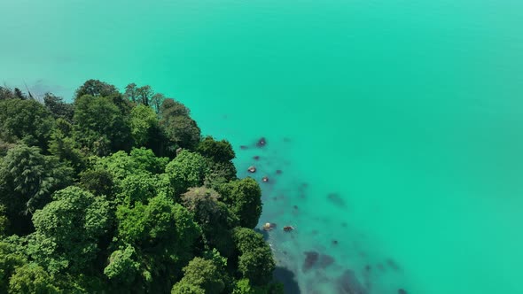 Aerial view of the Black sea coast. The Botanical Garden of Batumi, located at area of Green Cape