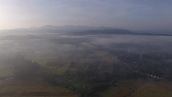 Rice Field in Sunrise, Aerial Shot of Rice Field in Sunrise