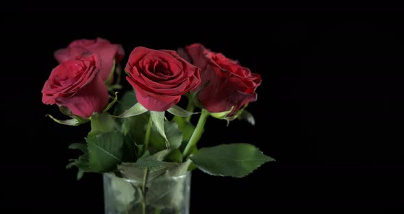 Fresh Red Roses in Vase