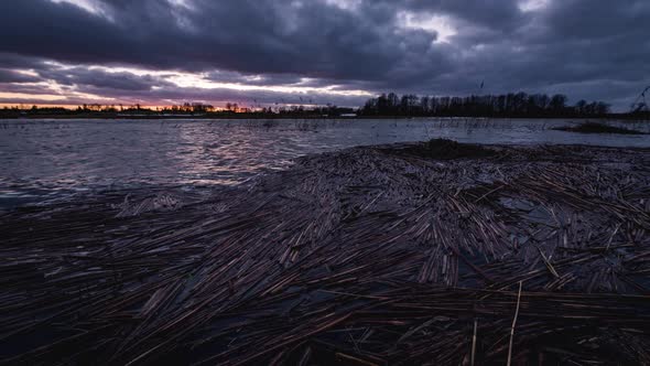 Time lapse of flooded spring river, straws floating in it and sunset dramatic sky