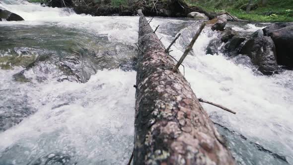 Mountain River with Rocks in Wood Slow Motion Footage Dolomites South Tyrol Italy