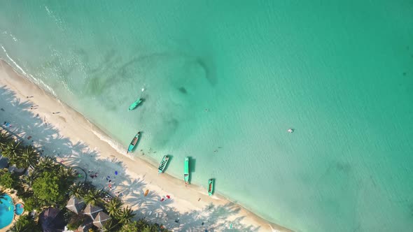 Aerial Shadow From Palm Trees on Beach By Sea