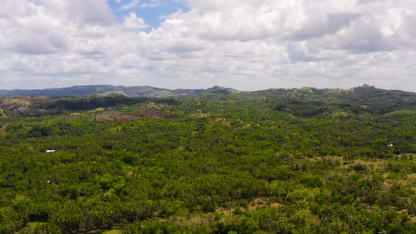 Mountain Covered with Rainforest and Clouds