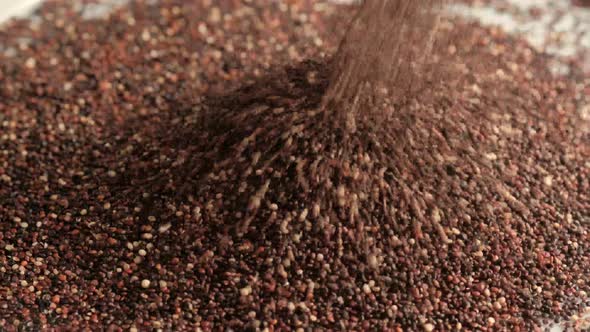 Black raw quinoa in glass jar