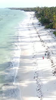 Vertical Video of the Beach on Zanzibar Island Tanzania