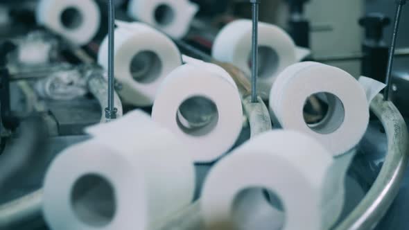 White Toilet Paper Production Line at a Paper Mill