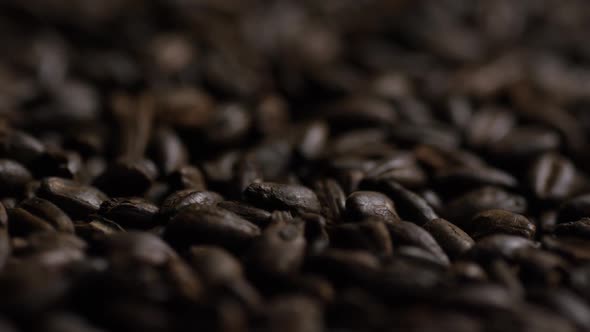 Rotating shot of barley and other beer brewing ingredients - BEER BREWING