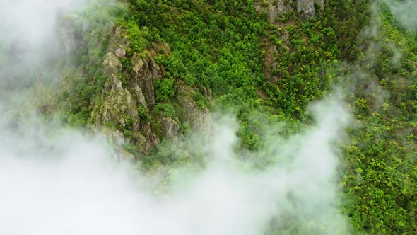 Aerial View Over the Mountain Green Forest Covered in Fog Outdoor Summer Travel Concept Untouched