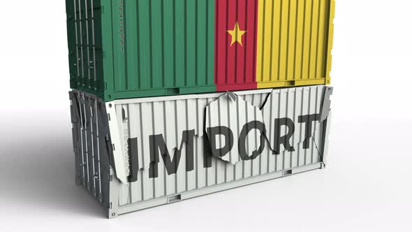 Container with Flag of Cameroon Breaks Container with IMPORT Text