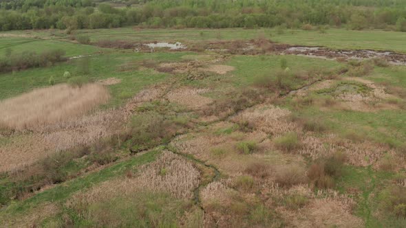 Peat Bogs Near the Swamp. Wetlands. Video Recording From a Quadrocopter.