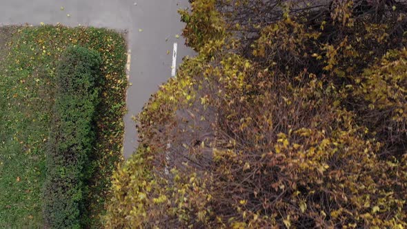 Aerial view Child riding bicycle in autumn park. Active sport family leisure