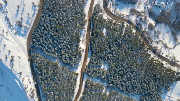 Snowy road through trees and forest