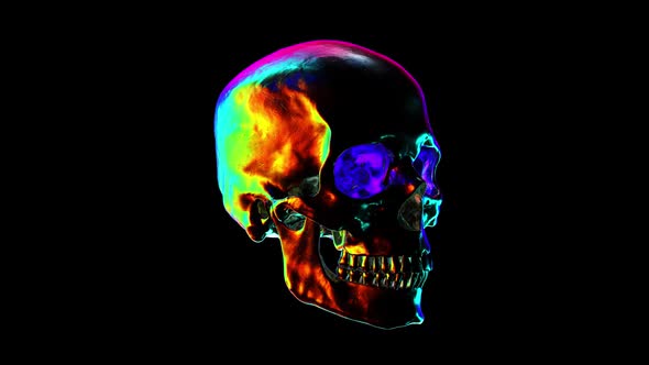 Metallic Human Skull with Rainbow Reflections Looped Animation