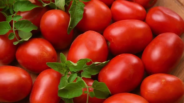 ripe red tomatoes and green leaves are spinning