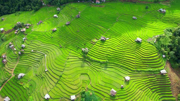 Aerial video of drones flying over rice terraces