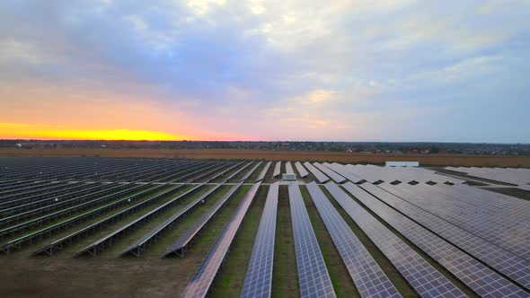 Aerial Drone View Into Large Solar Panels at a Solar Farm at Summer Sunset. Solar Cell Power Plants