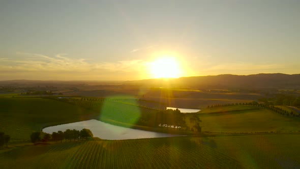 Slow decent over vast sunset vineyard landscape scene in Yarra Valley, Victoria, Australia.