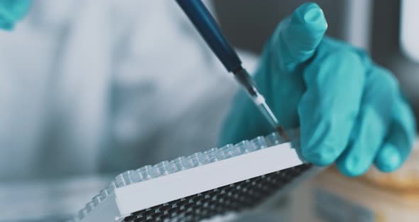 Close up scientist using pipette transfer sample in micro plate